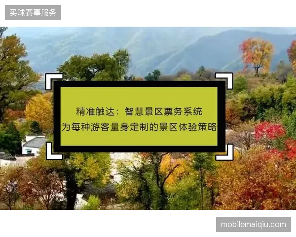 索菲体育场如何通过数字化孪生技术实现2026年世界杯赞助商权益的精准触达 索菲体育场如何通过数字化孪生技术实现2026年世界杯赞助商权益的精准触达